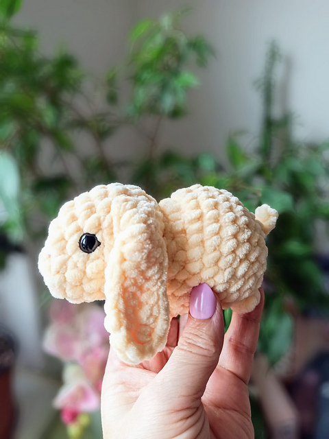 Bunny Bun