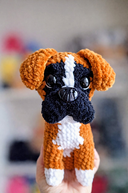Boxer dog