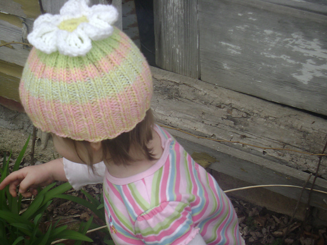 Little Daisyhead