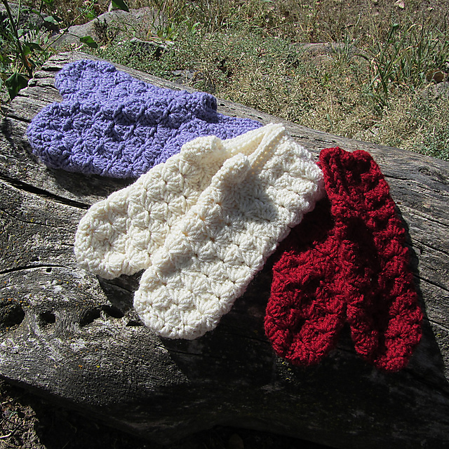 Speedy Slipper Shells