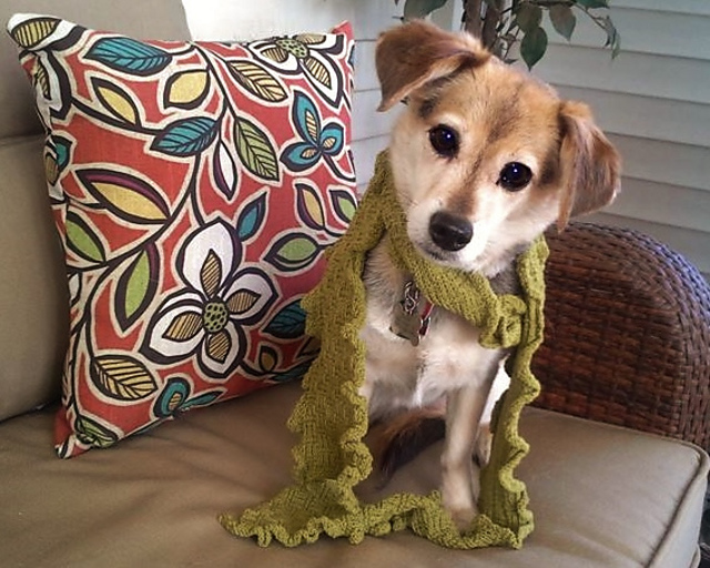 Bubba's Scarf