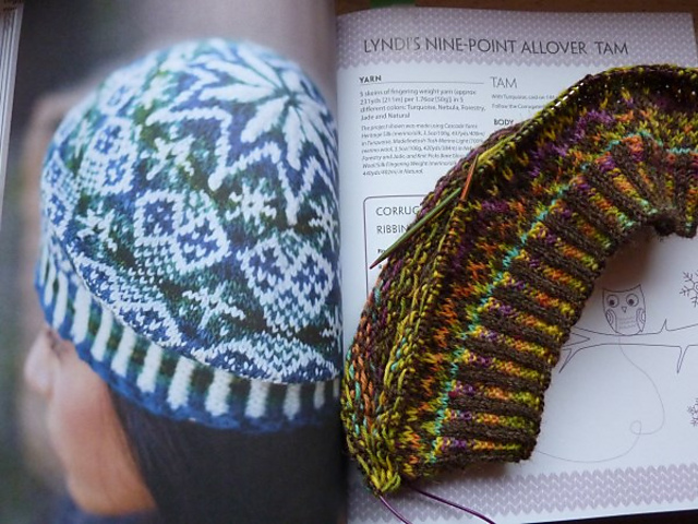 Lyndi's Nine-Point Allover Tam