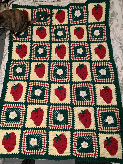 Strawberry Blanket