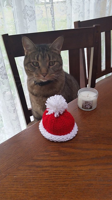 Mini Top Knot Hat