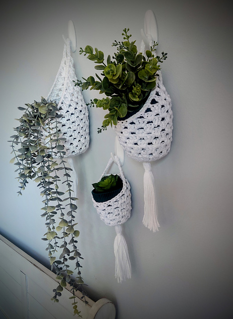 Wall Plant Hanger