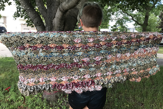 Fans of Scales Wrap
