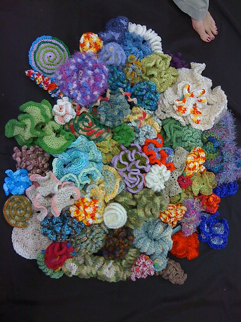 Coral Shapes
