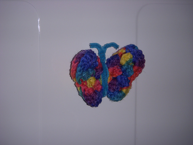 Butterfly Fridgie