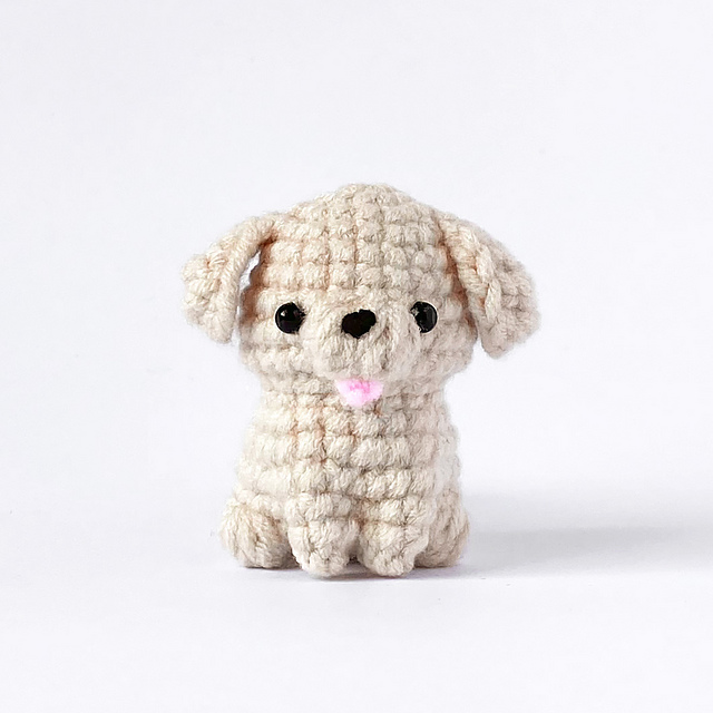 Baby Labrador & Golden Retriever