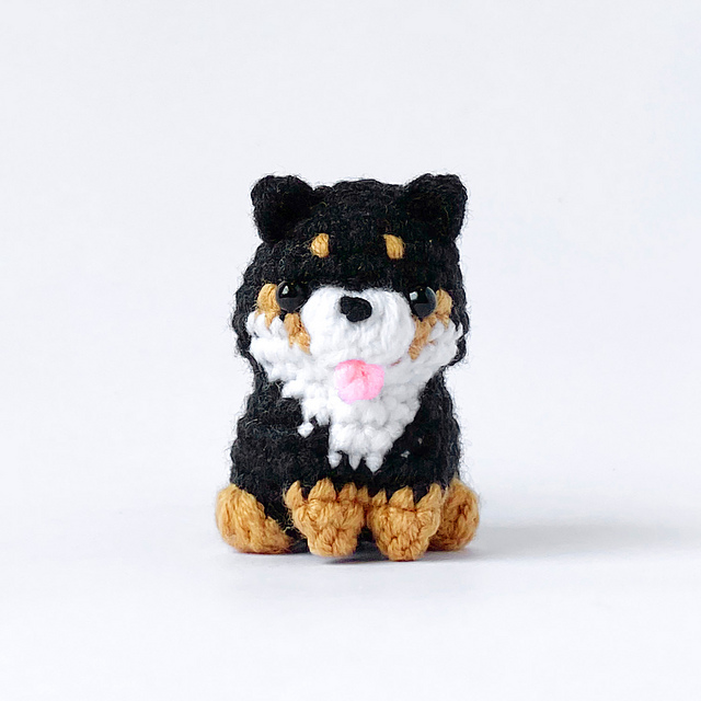 Baby Shiba Inu