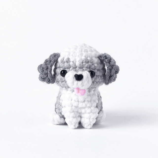 Baby Shih Tzu