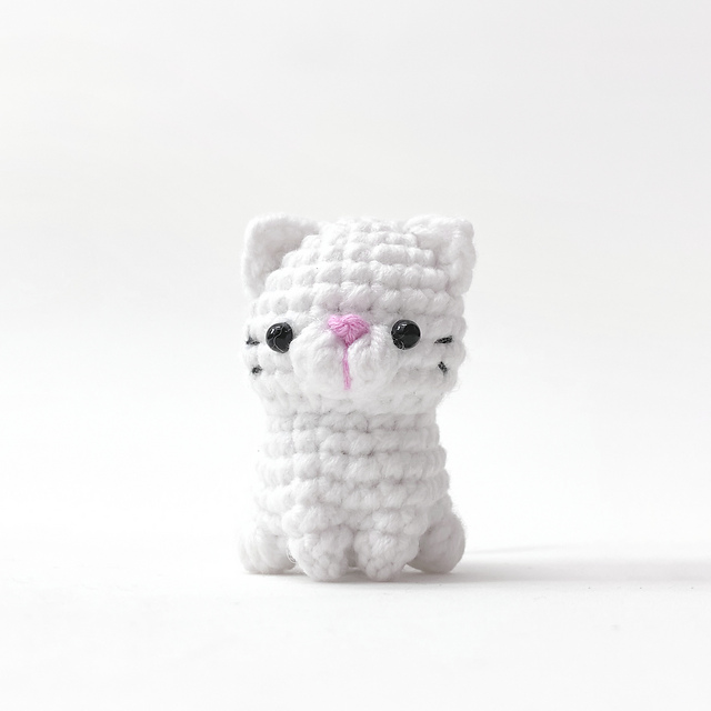 Baby Solid Cat