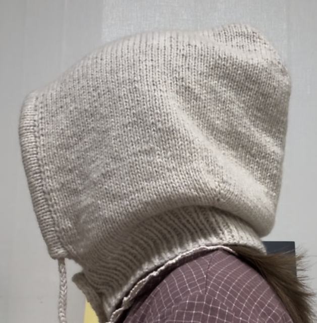Novice Adventurer's Hood