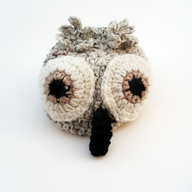 Wise Owl