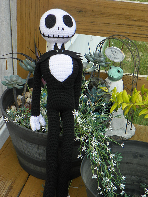 J. Skull Skeleton