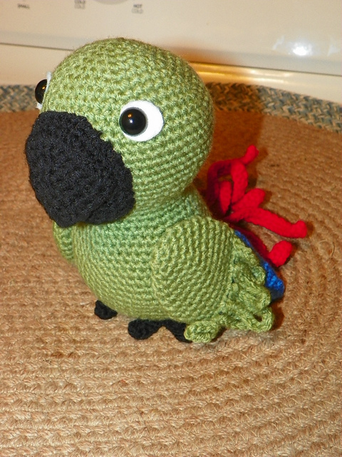 Diego the conure Parrot