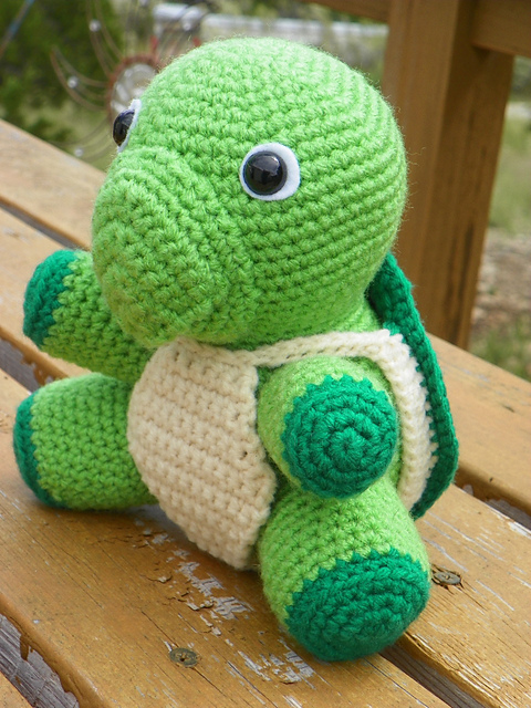 Valor Turtle