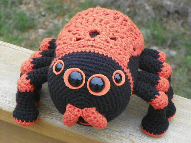 Ziggy the Spider