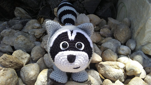 Randy the Raccoon