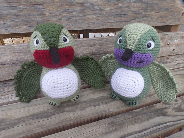 Vie and Ruby Hummingbirds