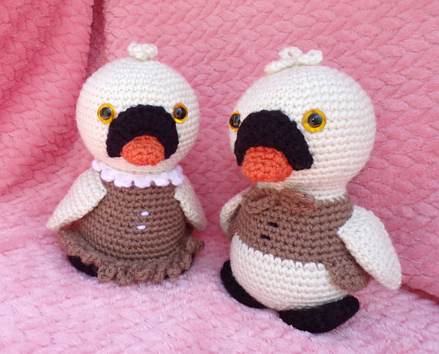 Swans Dan & Fran