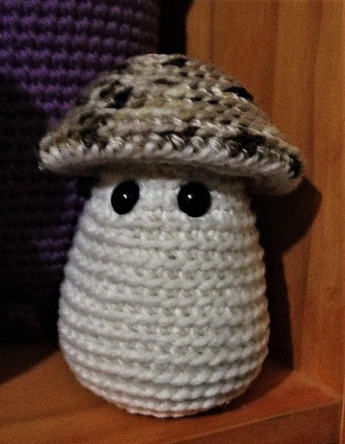Sylvie's Mushrooms