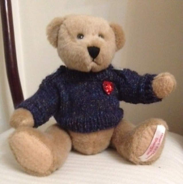 Heart to Heart Bear Pullover