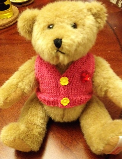Heart to Heart Bear Waistcoat