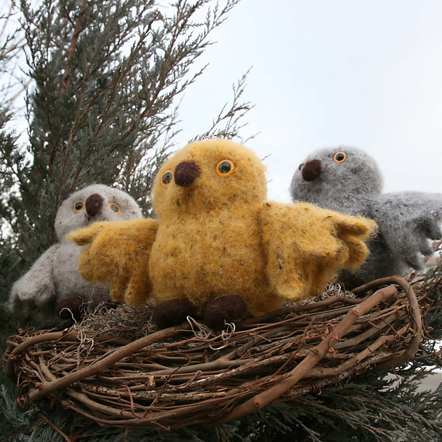 Baby Owl Takes Flight