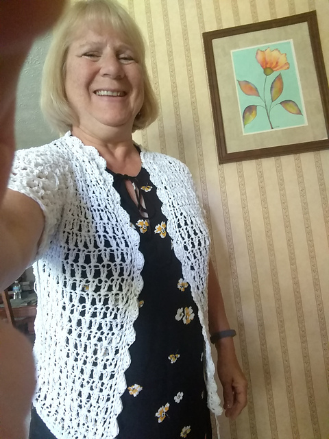 Dressy Short Sleeved Sweater