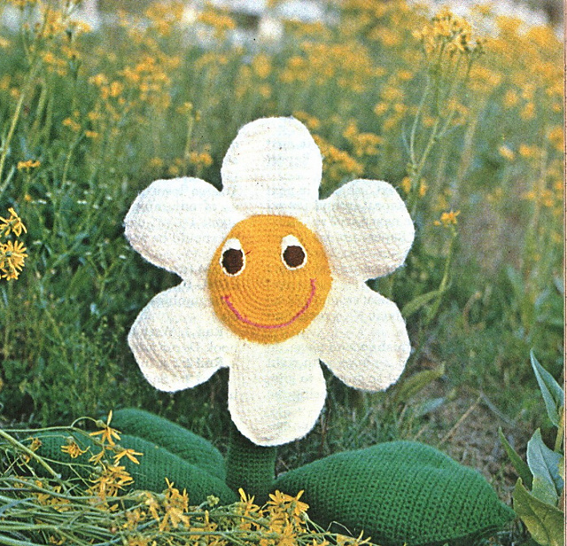 Big Spring Daisy