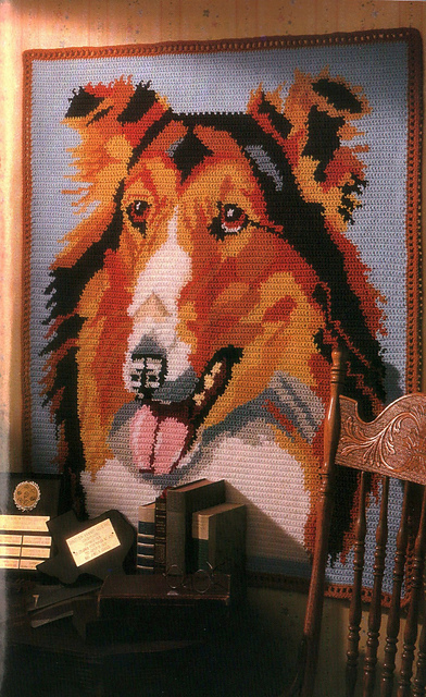 Collie Afghan
