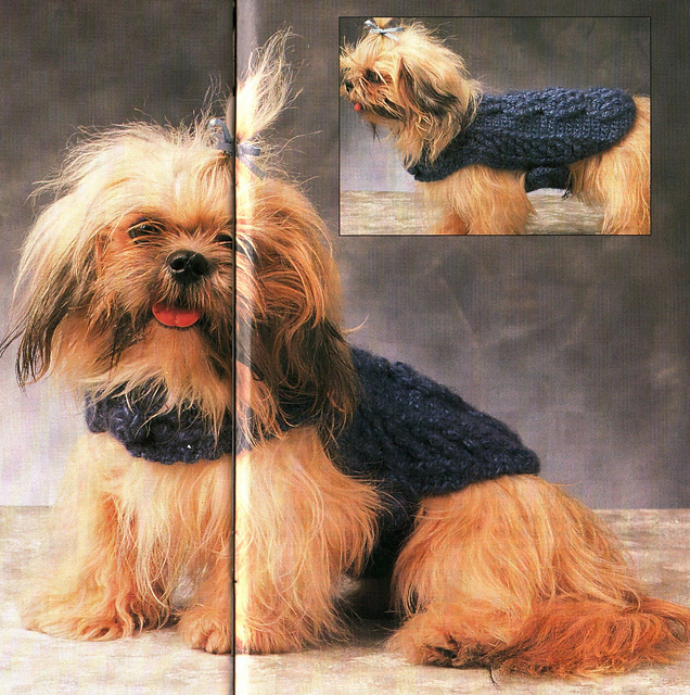 Dog Sweater