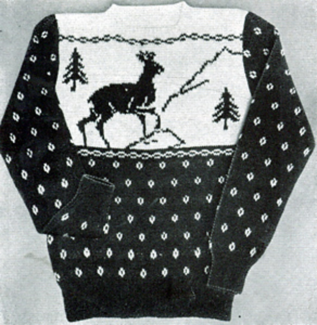 Man's Sweater #31