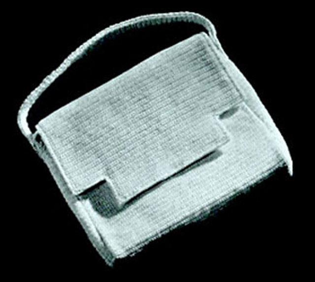 The Envelope Purse #2009