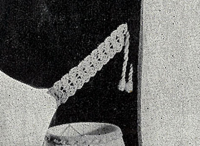 Shell Tie Back #301