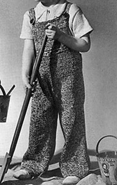 Overalls #545