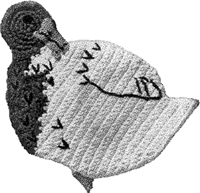 Danny Duck Potholder