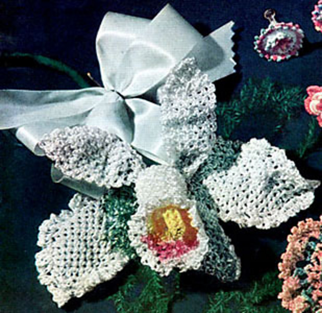 Orchid Flower