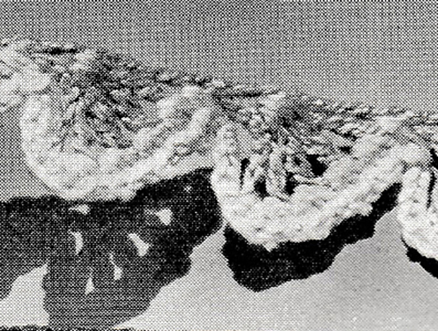 Two-Color Edging #8341