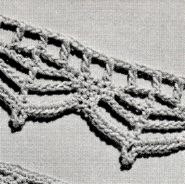 Edging #8268