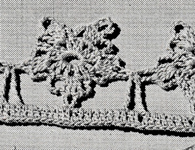 Edging #8403