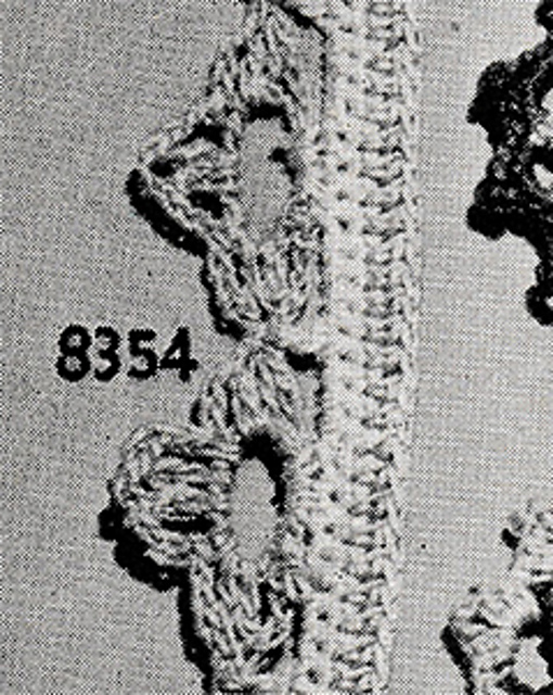 Two-Color Edging #8354