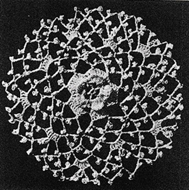 Irish Crochet Motif