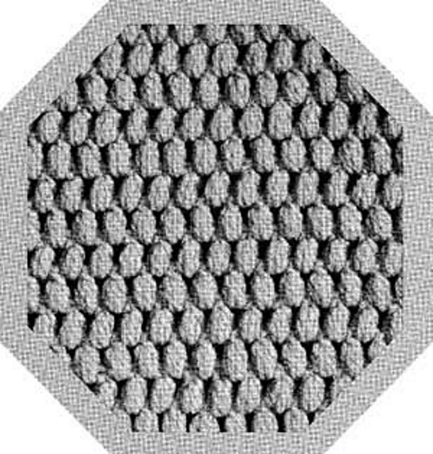 Square No. 20