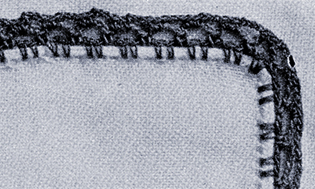 Handkerchief Edging #1825