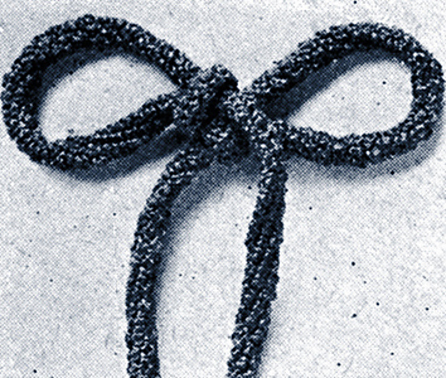 Crocheted Cord #1
