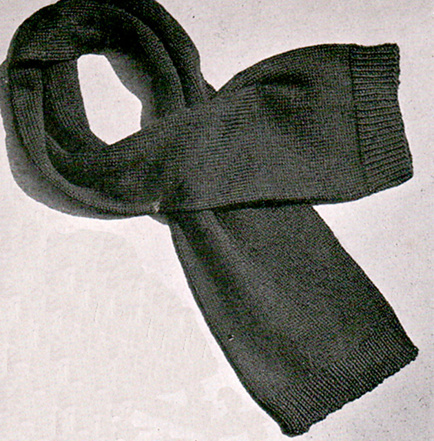 U.S. Navy Scarf