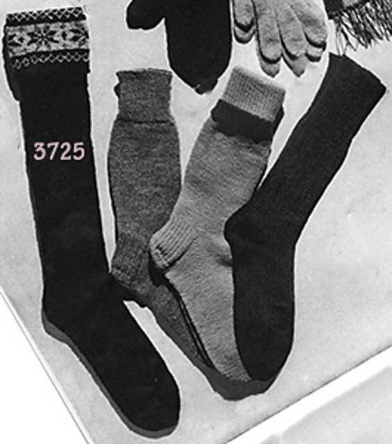 Socks #3725