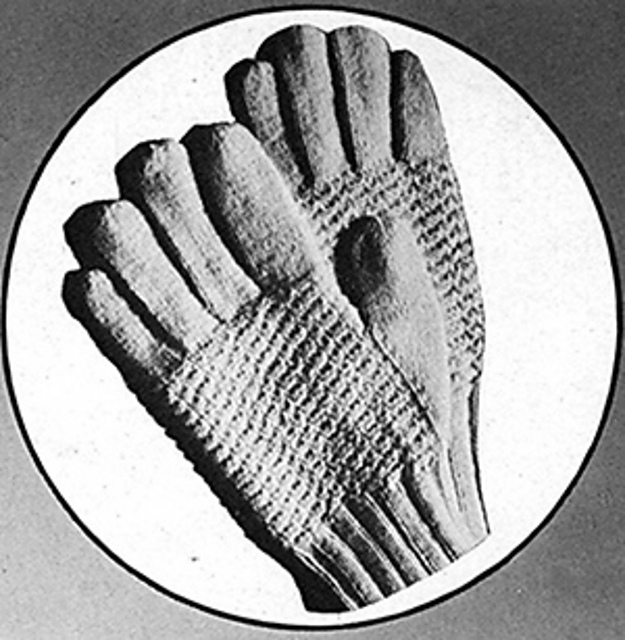 Gloves #4004